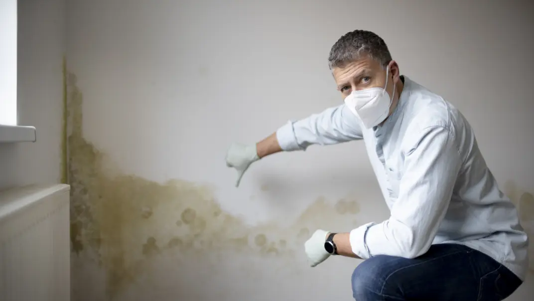 TEC Dachschaeden erkennen wasserschaeden