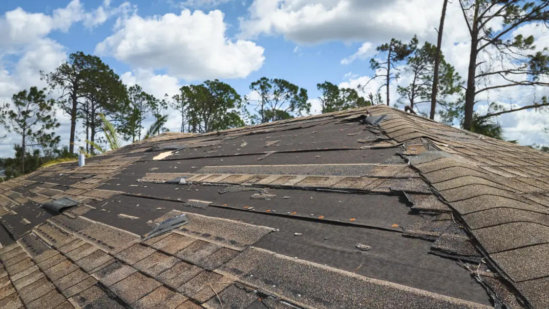 TEC Dachschaeden erkennen dachschaden